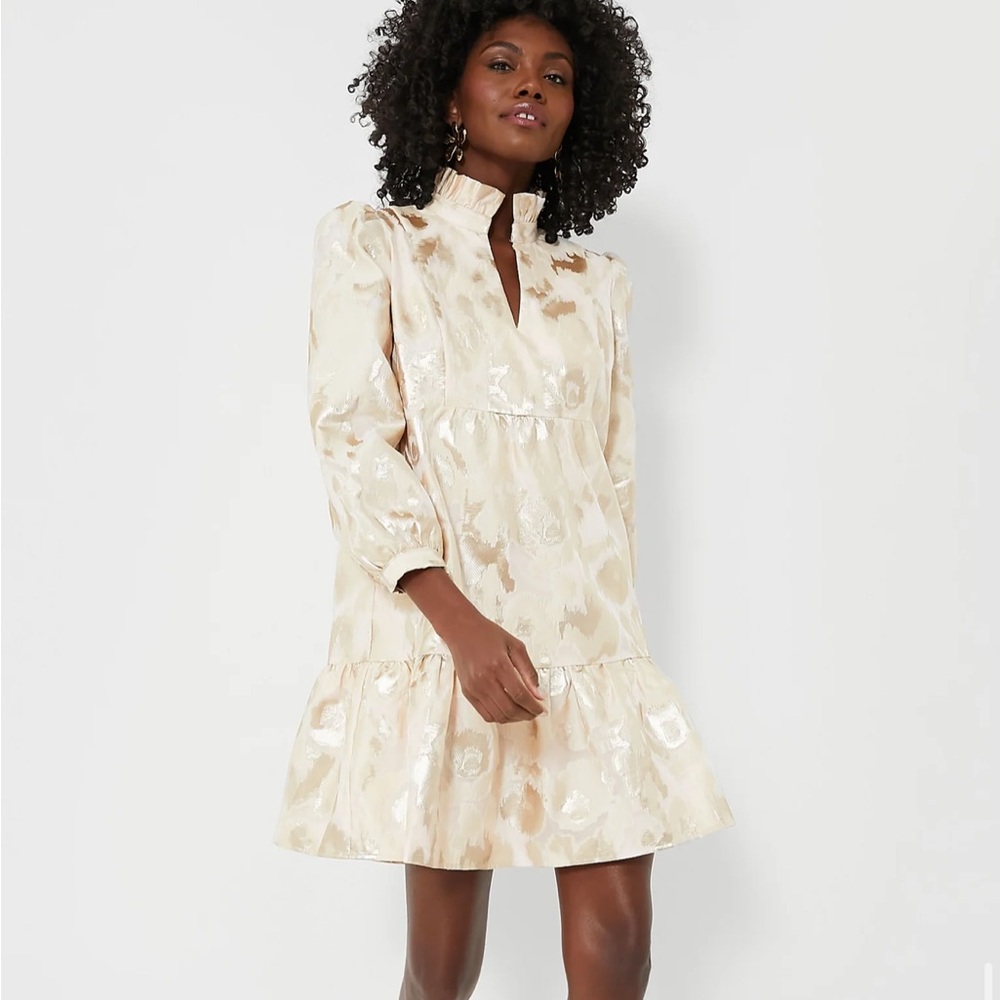 Tuckernuck Champagne Fil Coupe Palmerston Dress Size Medium